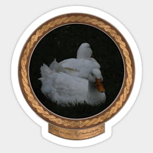 Duck Duo Sticker